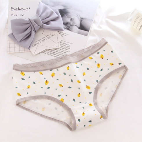 Panties cotton
