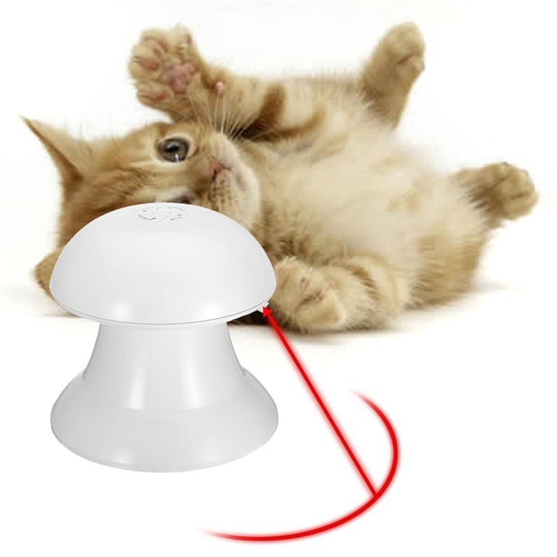 Laser interactivo para gato