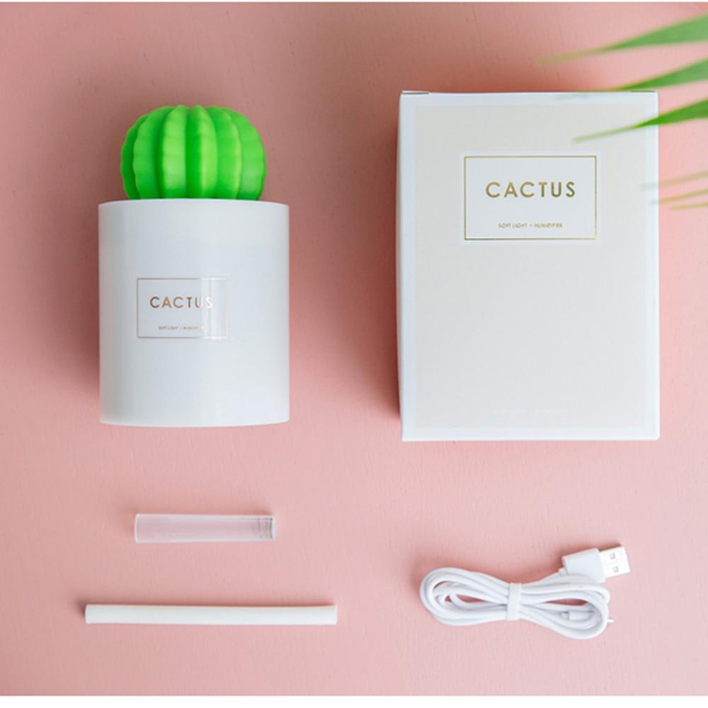 Illuminated cactus ball humidifier