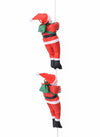 Translation missing: es.sections.featured_product.gallery_thumbnail_alt

