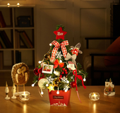 Lighted Mini Christmas Tree Set