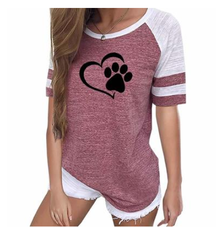 Dog paw