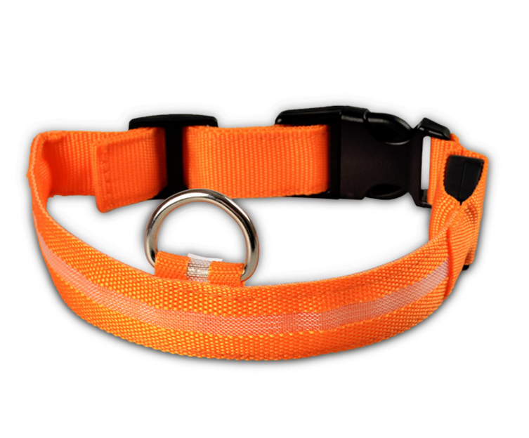 Collar Led Para Perro
