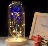 Smuxi LED Rose Wishing Bottle Festival Light Warm White Light Black/Beige Base Rose Flower Bottle Night Light Gift