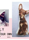 Translation missing: es.sections.featured_product.gallery_thumbnail_alt
