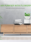 Translation missing: es.sections.featured_product.gallery_thumbnail_alt
