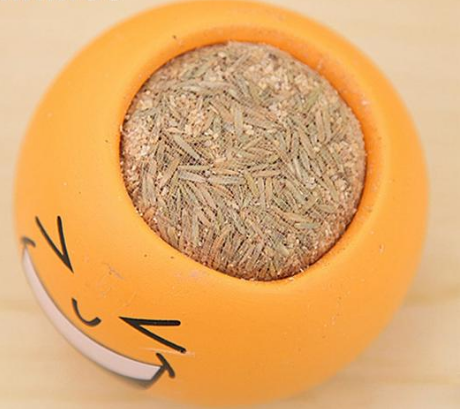 Creative DIY Emoji Grass Head