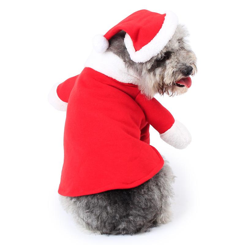 Pets turned into Christmas clothes