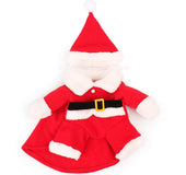 Pets turned into Christmas clothes