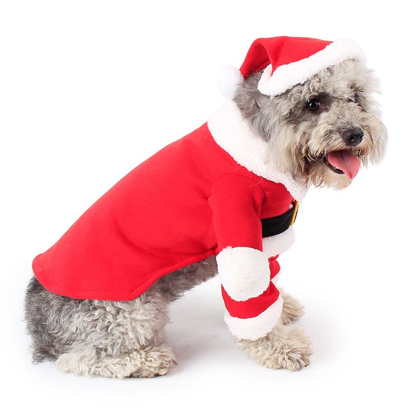 Pets turned into Christmas clothes