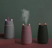 Cat spray humidifier