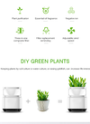 Translation missing: es.sections.featured_product.gallery_thumbnail_alt
