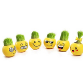 Creative DIY Emoji Grass Head