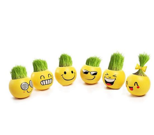 Creative DIY Emoji Grass Head
