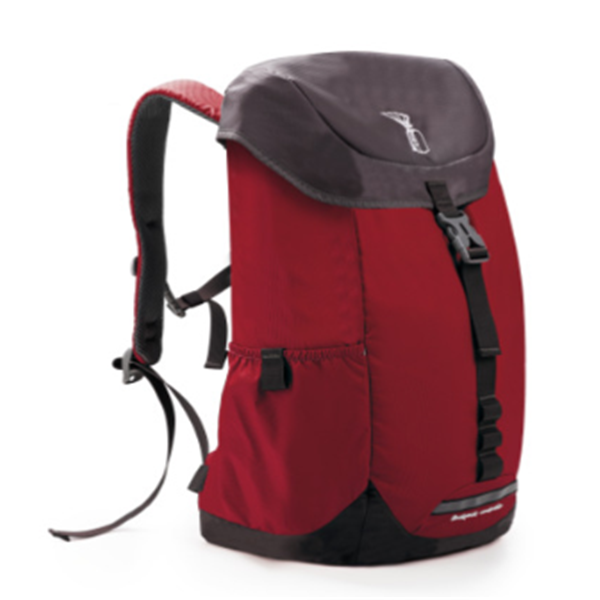 Backpack umbrella