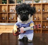 Perro Guitarrista Hipster