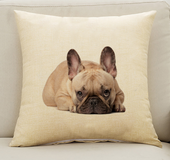 Pug pillow, funny, vibrating, cute, pet dog, pillowcase