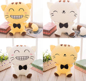 Cute creative cat doll plush toy birthday gift girl doll doll big face cat doll