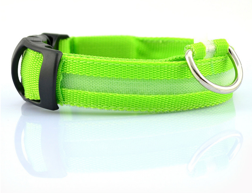 Collar Led Para Perro