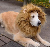 Lion Mane for Dog