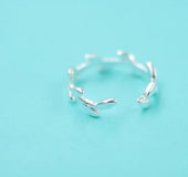 Olive leaf imitates silvering