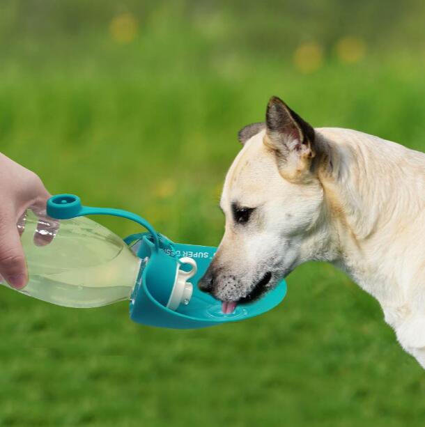 Botella De Agua Para Perro