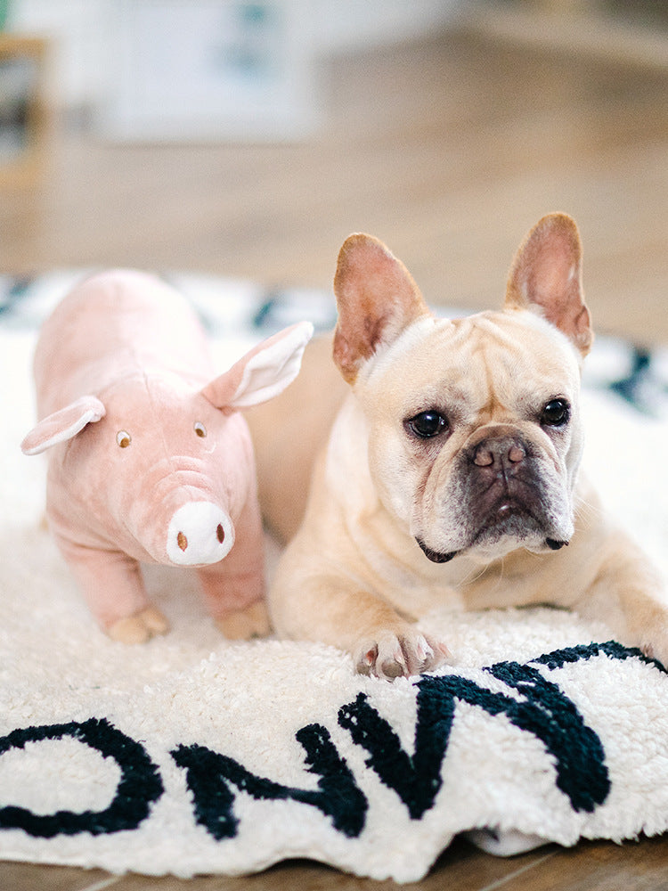 Cerdito Acompañante De Dormir