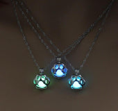 Collar Huella Perro Brilla En La Oscuridad