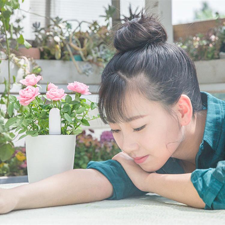 Soil Monitoring Instrument for Plant Cultivation