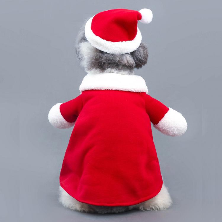 Pets turned into Christmas clothes