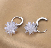 Pure beauty ice 925 silver earrings
