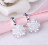 Pure beauty ice 925 silver earrings