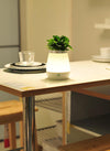 Translation missing: es.sections.featured_product.gallery_thumbnail_alt
