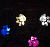 Paw Print Solar Garden Lights