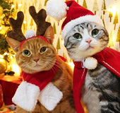 Pet tiara small Christmas tiara