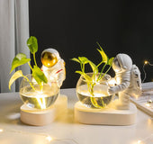 Space Astronaut Glass Vase Decoration