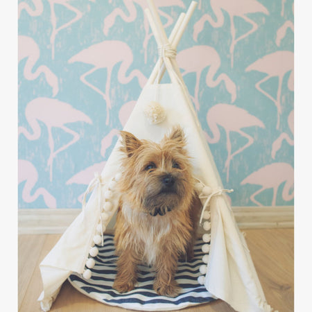 Pet Tent Bed