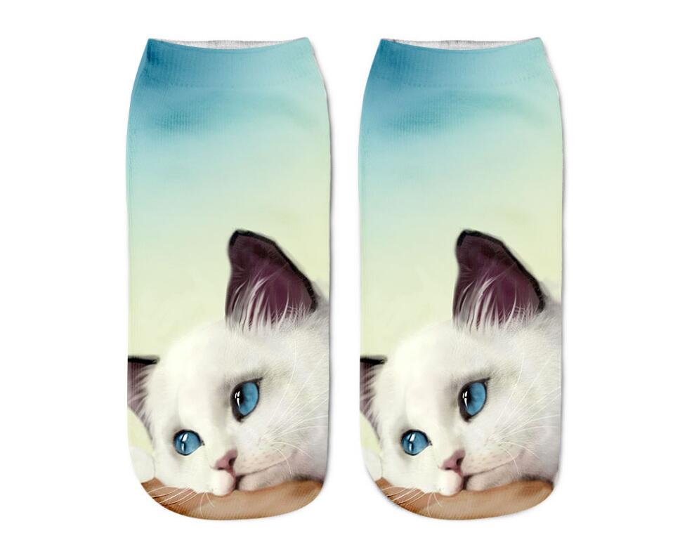 Various Cat Socks