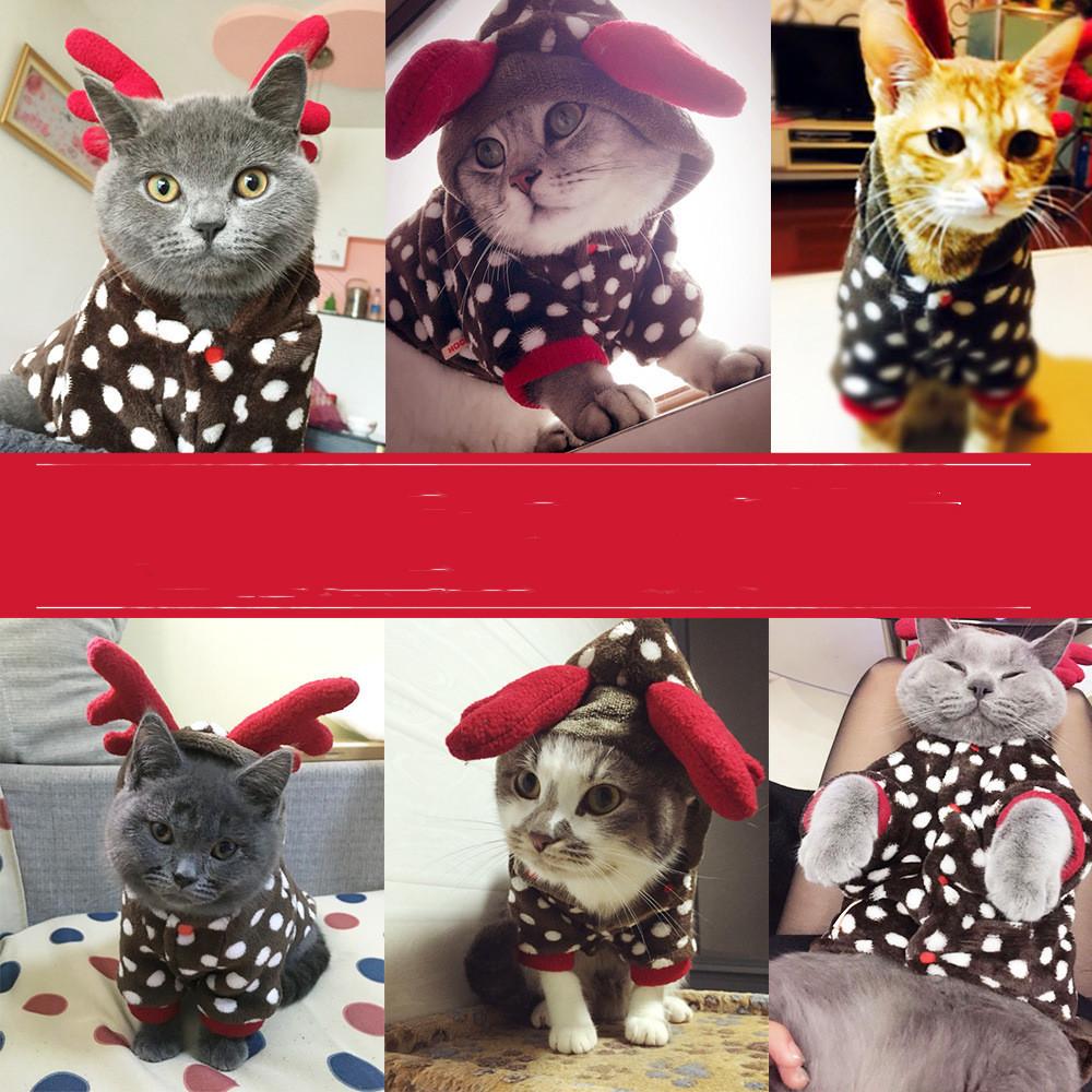 Cat clothes christmas elk makeover