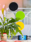 Translation missing: es.sections.featured_product.gallery_thumbnail_alt
