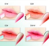 Double Color Lipstick Waterproof