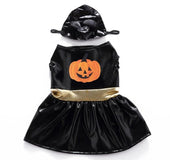 Pet loaded Christmas old man dog clothes Halloween pet clothes pumpkin turned into a witch costume