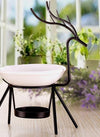 Translation missing: es.sections.featured_product.gallery_thumbnail_alt
