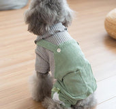 Dog Clothes