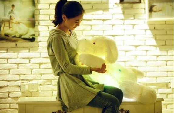 Perro De Peluche Con Luz