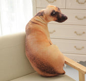 3D simulation of curved shar dog plush cushions office nap washable plush toy dog group