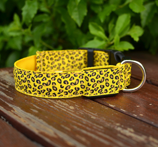 Collar LED