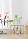 Translation missing: es.sections.featured_product.gallery_thumbnail_alt
