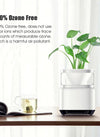 Translation missing: es.sections.featured_product.gallery_thumbnail_alt
