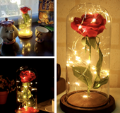 Rose lamp
